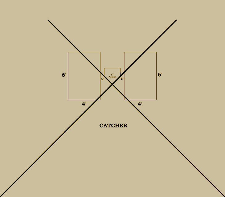 Baseball history diagram: 1900: National League and American Association of Professional Base Ball Clubs Batter's Area.  Click diagram to return to previous page.