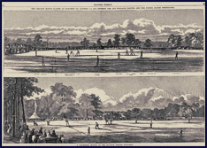 Cricket vs. Baseball. Click to enlarge.